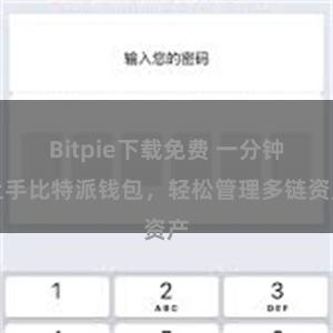 Bitpie下载免费 一分钟上手比特派钱包，轻松管理多链资产