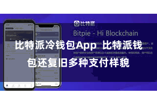 比特派冷钱包App  比特派钱包还复旧多种支付样貌