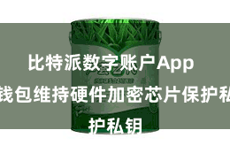 比特派数字账户App  该钱包维持硬件加密芯片保护私钥