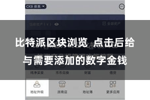 比特派区块浏览  点击后给与需要添加的数字金钱