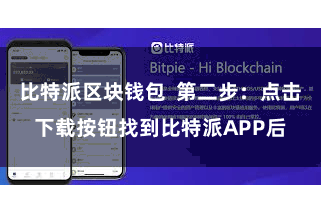 比特派区块钱包  第二步：点击下载按钮找到比特派APP后