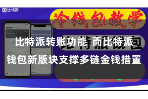 比特派转账功能  而比特派钱包新版块支撑多链金钱措置