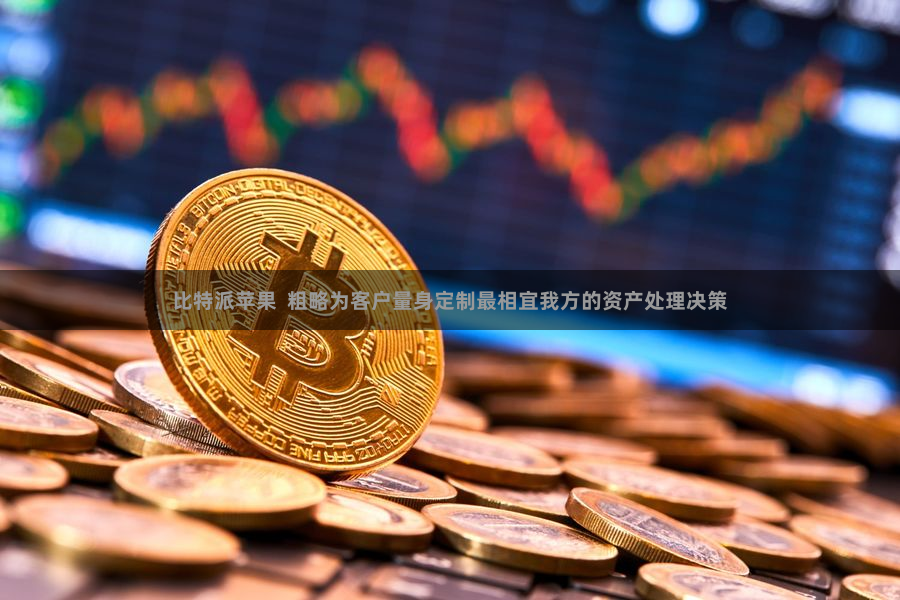 比特派苹果  粗略为客户量身定制最相宜我方的资产处理决策