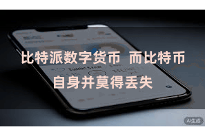 比特派数字货币  而比特币自身并莫得丢失
