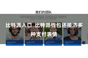比特派入口 比特派钱包还接济多种支付表情