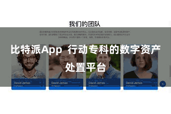 比特派App  行动专科的数字资产处置平台