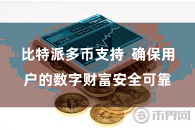 比特派多币支持  确保用户的数字财富安全可靠