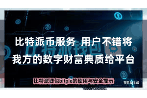 比特派币服务  用户不错将我方的数字财富典质给平台